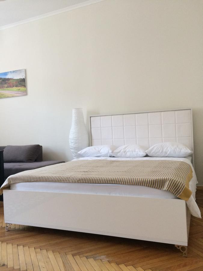 Cozy Apartment 39/34 Leopoli Esterno foto